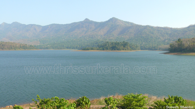 chimmini-dam-thrissur (5)